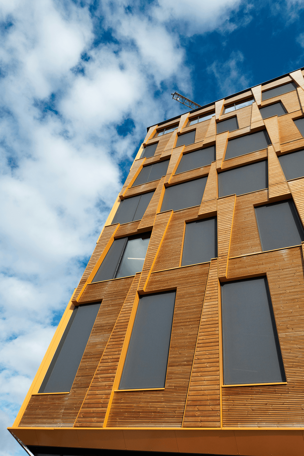 Façade bois contemporaine — Rapp Charpente